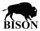 Bison_transparent